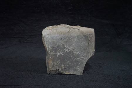 三水盆地介形类、植物化石标本（布心组）